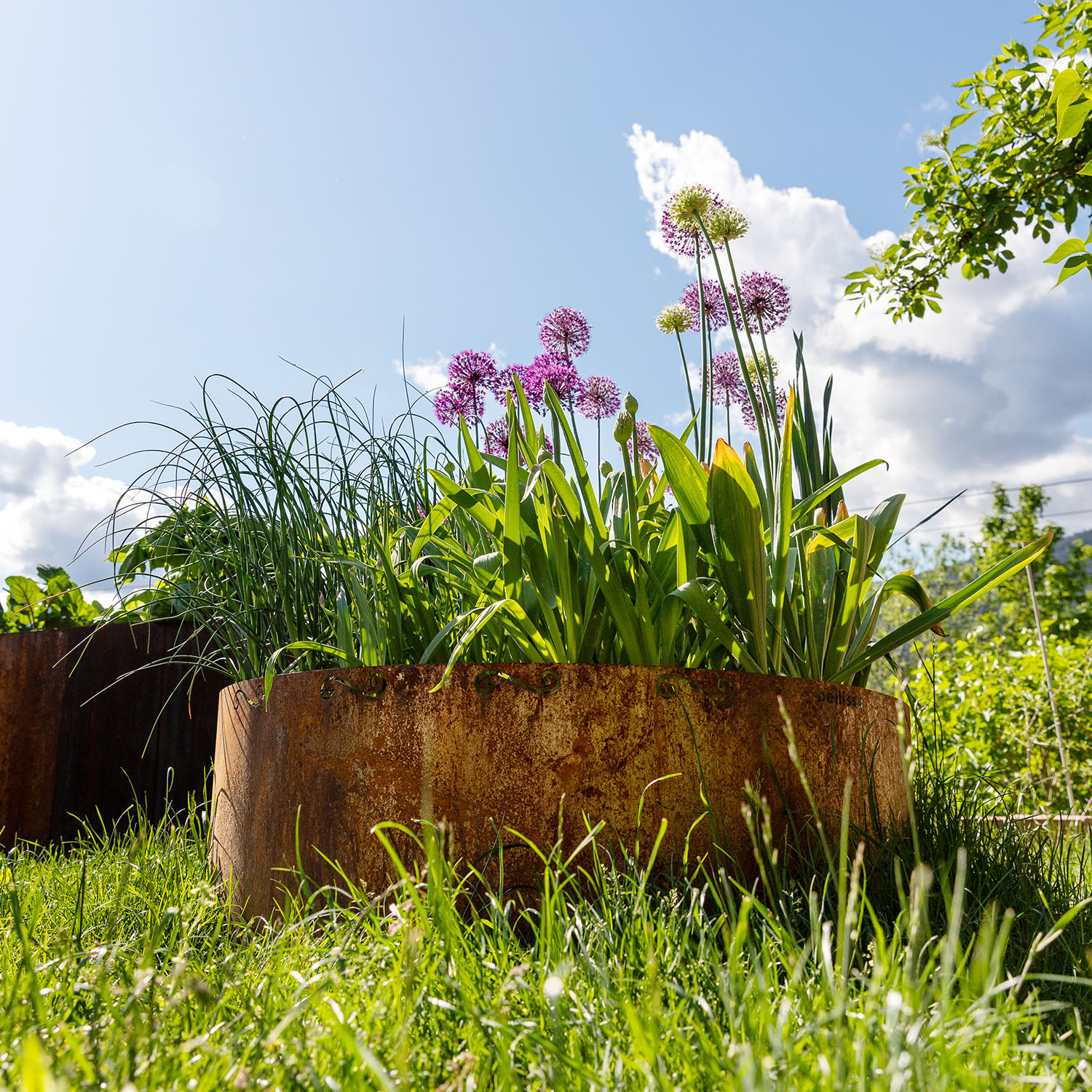 Corten raised bed